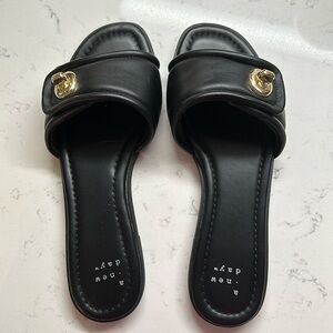 A New Day black slides
